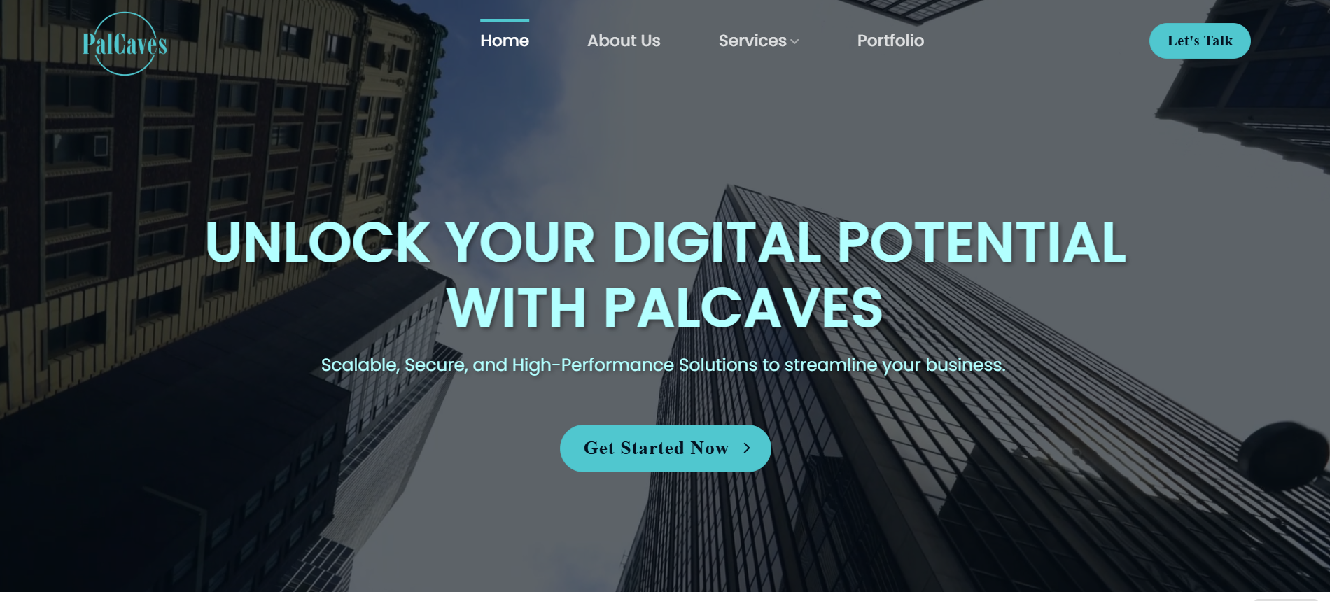 Palcaves website preview image